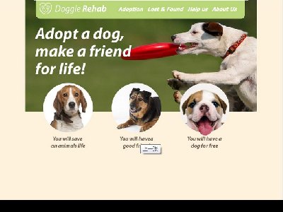 Doggie Rehab 11页面 外文英文版本 狗狗宠物主题 带psd 联系表单（70元）