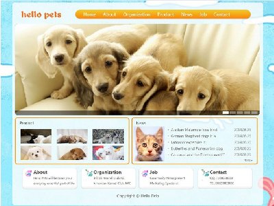 Hello Pets宠物网 12页面 英文版 猫猫狗狗宠物公司企业网站 带设计说明带Flash带JS图片轮播（70元）