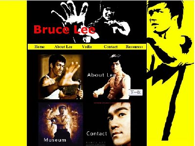 Bruce Lee 李小龙武打明星人物介绍网站英文版本9页面版本C（60元）