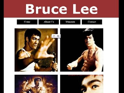 Bruce Lee 李小龙武打明星人物介绍网站英文版本9页面版本B（60元）