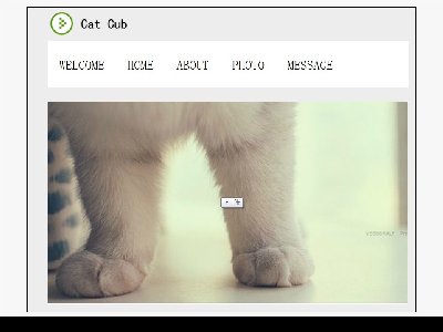 CAT CUB 学生网页作品5页面带PSD带留言（40元）个人
