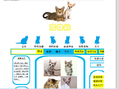 （100元）宠物网 40页面 带flash引导页 在线视频 三级页面结构 设计说明 首页psd 注册登录页