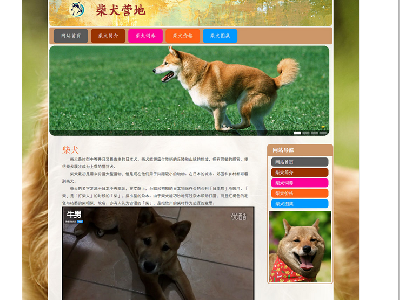 （20元）柴犬营地 单页面 狗狗 宠物主题 带本地视频(1/1)