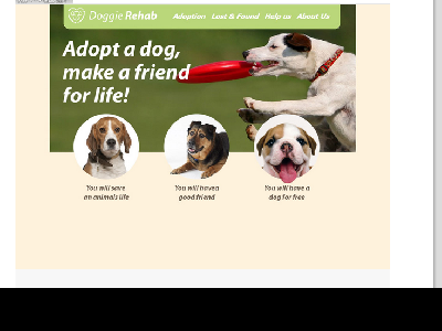 （70元）Doggie Rehab 11页面       2页面（20元）外文英文版本 狗狗宠物主题 带psd 联系表单