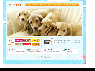 （70元）Hello Pets宠物网12页面     25页面（80元）35页面（90元） 猫猫狗狗宠物公司企业网站