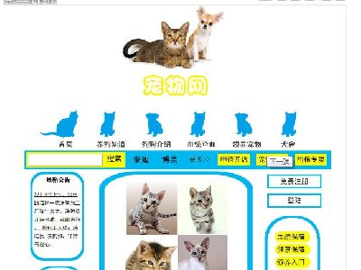 （90元）宠物网35页面     30页面（80元）20页面（60元）9页面（40元）带引导页带视频带flash三级页面