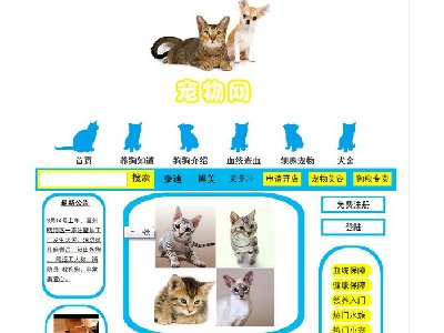 (80元)宠物网24页面     17页面（70元）15页面（70元）带引导页带视频带flash三级页面结构带注册登录