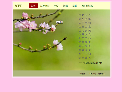 AYI-爱依服饰品牌网 5页面 企业公司品牌介绍展示主题（40元）企业站