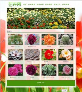 花卉网 鲜花花卉主题5页面带flash 简单脱俗（40元）鲜花礼品
