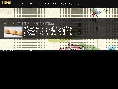 （80元）009+莲藕Flash网页20页面美食