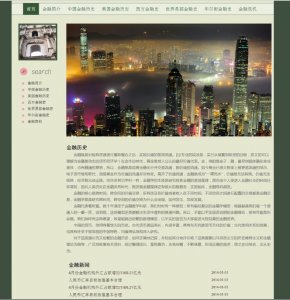 80元  金融历史文化网 金融历史介绍主题20页面 版本B 布局简单时尚