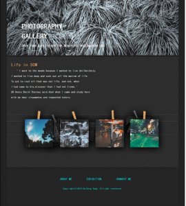 (30元)PHOTOGRAPHY GALLERY 单页面 摄影作品主题 带图片点击放大特效 带psd40元