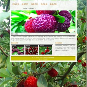 慈溪杨梅网 5页面(40元) 单页面8元 地方特色水果介绍 简单版 带文字滚动 图片轮播 Flash动画