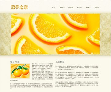 橙子之家 30页面(90元) 26页面(80元) 18页面(70元) 10页面水果（70元） 6页面(50元) 单页面(