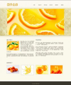 橙子之家 30页面(60元) 26页面(50元) 16页面(35元) 单页面(20元) 新鲜健康水果 橙子橘子介绍 带图