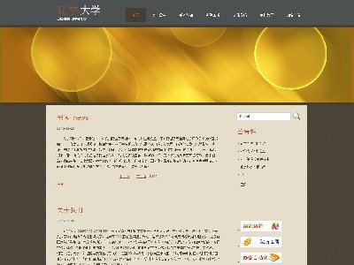 （60元）辽宁大学网站9页面学校