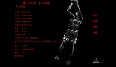 （50元）乔丹6页面表格简单 明星