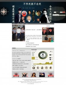 （30元）新闻网站明星吸毒单页面