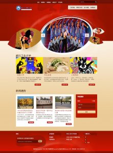 （30元）比赛网学校单页面模板 网页成品