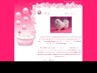 116个人博客5特效js5页面模板（30元）