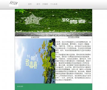 357demo4页面带flash滚动生活网作业成品设计网页 旅游 30元