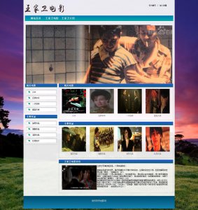050demo王家卫电影网3页面带视频（40元）