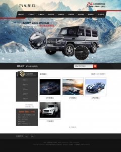 004xiaohai汽车配件网站  41个页面100元{9个页面60元}