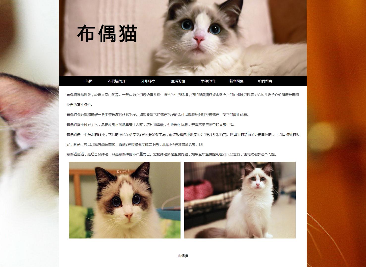 demo169布偶猫7页宠物（60元）带留言板