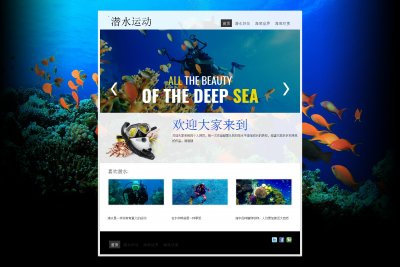 demo177个人单页面潜水摄影带轮播环保（30元）