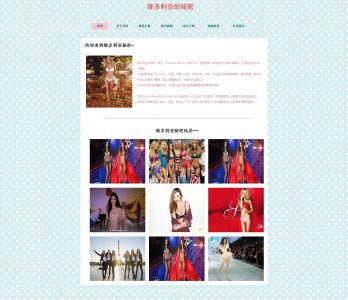 demo178+7个人页面维密秀服装表格带留言板带音乐明星（70元）