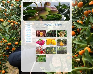 z066广西水果11页面带轮播特效（70元）