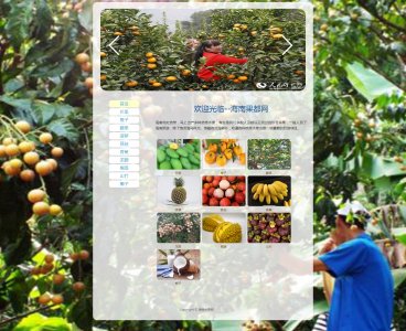 z067海南水果11页面带轮播特效（70元）