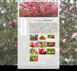 z068临猗水果11页面带轮播特效（70元）