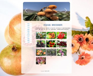 z069攀枝花水果11页面带轮播特效（70元）