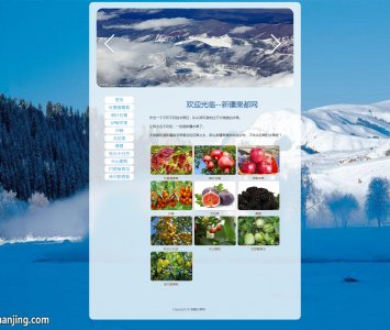 z072新疆水果11页面带轮播特效（70元）