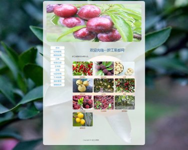 z073浙江水果11页面带轮播特效（70元）