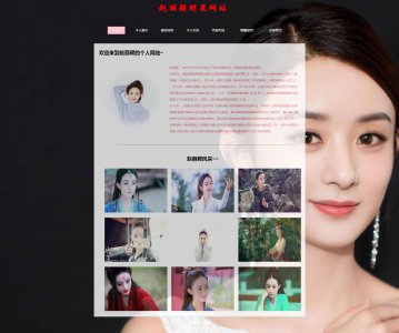 z099明星赵丽颖7页带表单带音乐（60元）