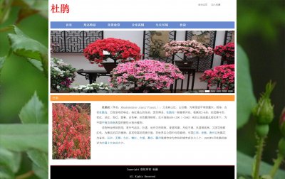 z107杜鹃9页面带轮播特效(60元）