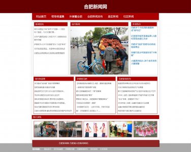 z110合肥新闻网6页面带flsah（50元）