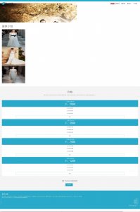 z113婚纱Carolina Herrera好看婚纱界面5页面带登录(40元）