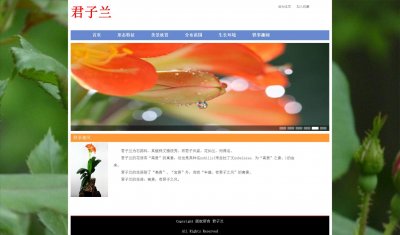 z122鲜花君子兰9页面带轮播特效（60元）