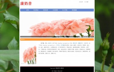 z123鲜花康奶昔9页面带轮播特效(60元）