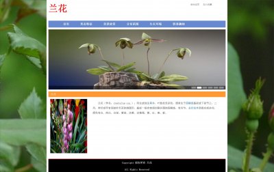 z124鲜花兰花9页面带轮播特效(60元）