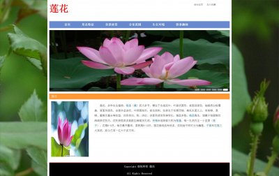 z126鲜花莲花9页面带轮播特效（60元）