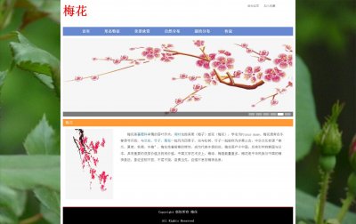 z130鲜花梅花9页面带轮播特效(60元）