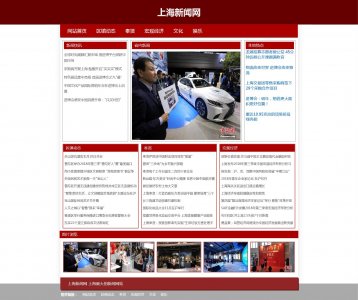 z139新闻上海新闻网6页面带flash(40元）