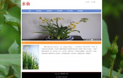 z143鲜花水仙花9页面带轮播特效(60元）