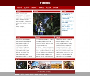 z145新闻天津新闻网6页面带flash（50元）