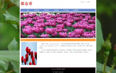 z152鲜花郁金香9页面带轮播特效（60元）